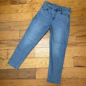 American Eagle Blue Jeans Size 6 Regular Stretch Misses Ladies
